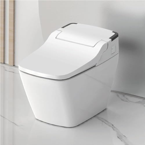 Evora Smart Bidet Toilet, One Piece Integrated Toilet with bidet built-in, Auto Open/Close Lid, Auto Dual Flush, LED Light, Heated Seat, Made in Korea - Elongated